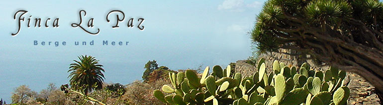 Finca La Paz - Berge und Meer, Ferienhaus Kanaren La Palma Punta Gorda