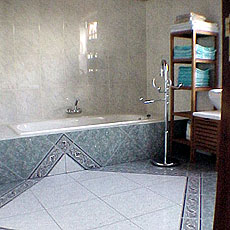 bathroom with bath tub